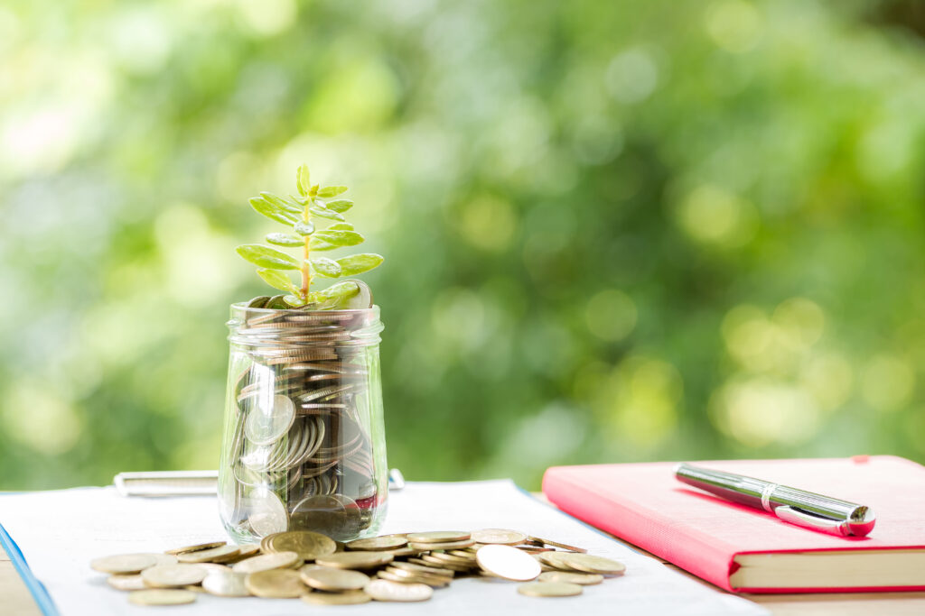 subsidies en leningen voor het verduurzamen van je woning EnergieHuis Slim Wonen, pot met geld en plant