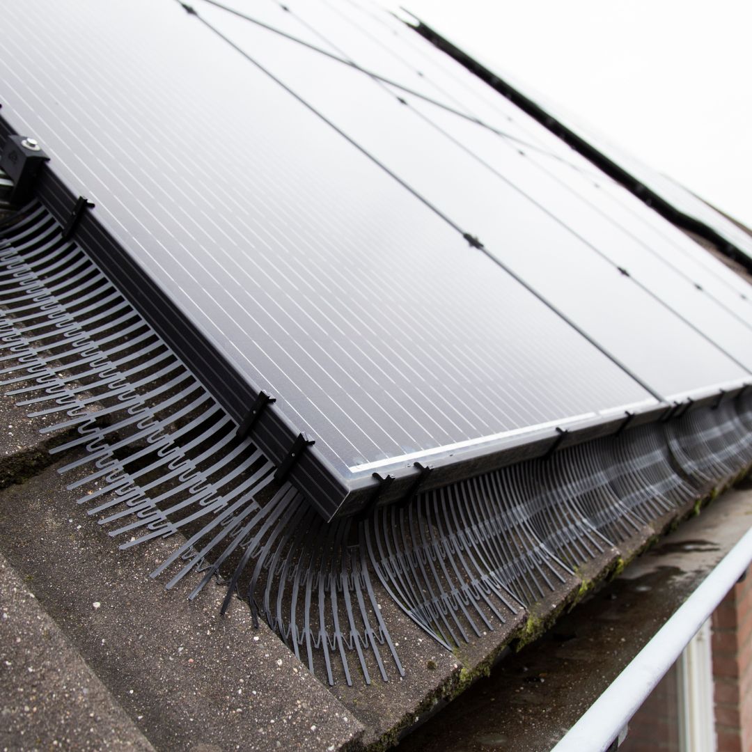Vogelwering voor zonnepanelen